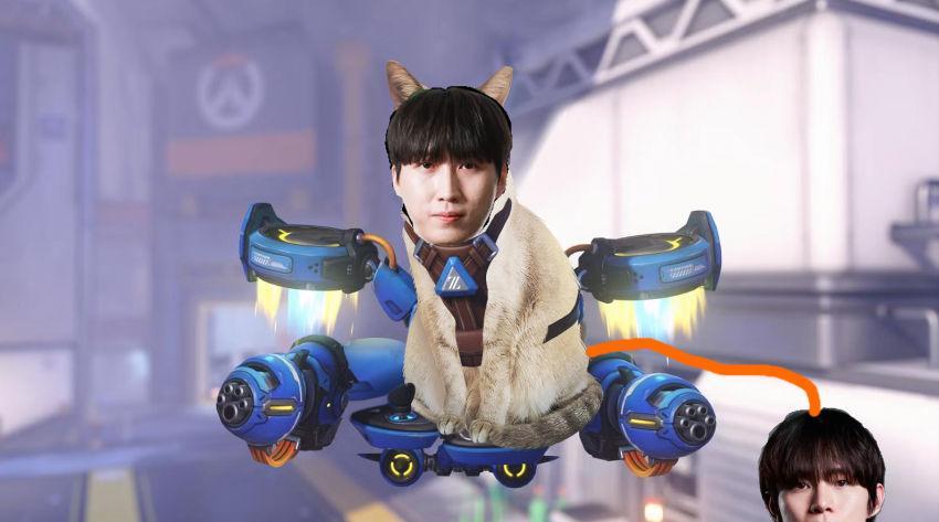 야만냥이의 여행